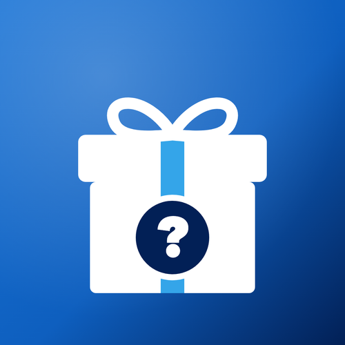 Mystery Winter Gift